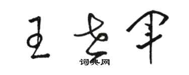 駱恆光王世軍草書個性簽名怎么寫