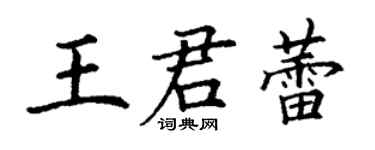 丁謙王君蕾楷書個性簽名怎么寫