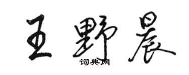 駱恆光王野晨行書個性簽名怎么寫