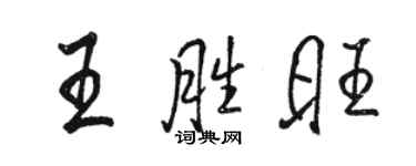 駱恆光王勝旺行書個性簽名怎么寫