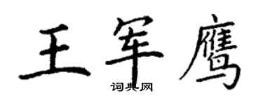 丁謙王軍鷹楷書個性簽名怎么寫