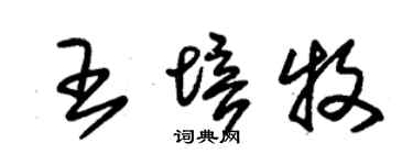 朱錫榮王培牧草書個性簽名怎么寫