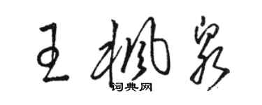 駱恆光王楓泉草書個性簽名怎么寫