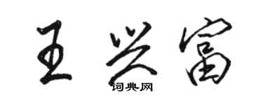 駱恆光王興富行書個性簽名怎么寫