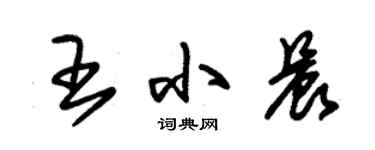 朱錫榮王小晨草書個性簽名怎么寫