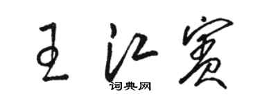 駱恆光王江賓草書個性簽名怎么寫