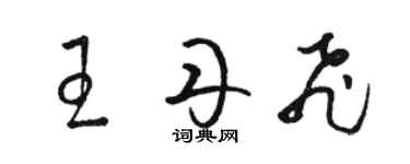 駱恆光王丹飛草書個性簽名怎么寫