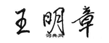 駱恆光王明章行書個性簽名怎么寫