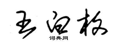 朱錫榮王白枚草書個性簽名怎么寫