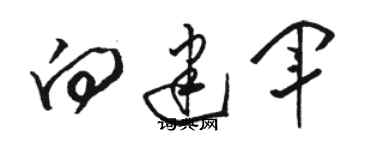 駱恆光向建軍草書個性簽名怎么寫