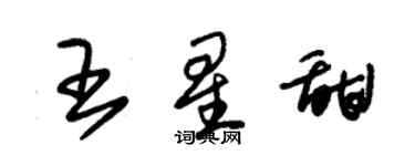 朱錫榮王星甜草書個性簽名怎么寫