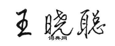 駱恆光王曉聰行書個性簽名怎么寫