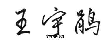 駱恆光王宇鵑行書個性簽名怎么寫