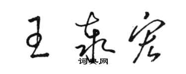 駱恆光王泰宏草書個性簽名怎么寫