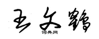 朱錫榮王文鶴草書個性簽名怎么寫