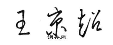 駱恆光王京超草書個性簽名怎么寫