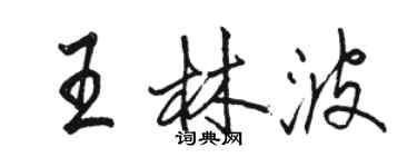 駱恆光王林波行書個性簽名怎么寫