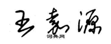 朱錫榮王嘉源草書個性簽名怎么寫