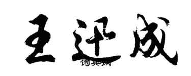 胡問遂王迅成行書個性簽名怎么寫