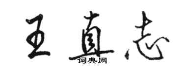 駱恆光王直志行書個性簽名怎么寫