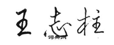 駱恆光王志柱行書個性簽名怎么寫