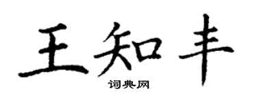 丁謙王知豐楷書個性簽名怎么寫