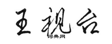 駱恆光王視台行書個性簽名怎么寫