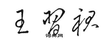 駱恆光王習裙草書個性簽名怎么寫