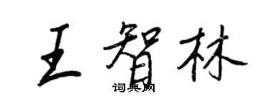 王正良王智林行書個性簽名怎么寫