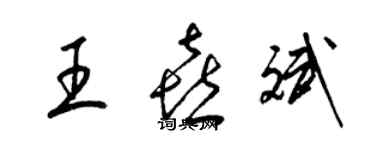 梁錦英王喜斌草書個性簽名怎么寫