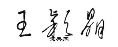 駱恆光王穎晶草書個性簽名怎么寫