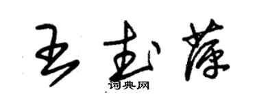 朱錫榮王武萍草書個性簽名怎么寫