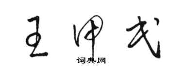 駱恆光王甲民草書個性簽名怎么寫