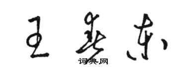 駱恆光王春東草書個性簽名怎么寫