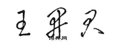 駱恆光王開君草書個性簽名怎么寫