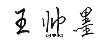 駱恆光王帥墨行書個性簽名怎么寫