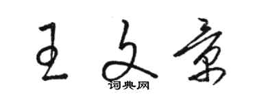 駱恆光王文景草書個性簽名怎么寫