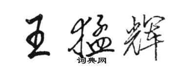 駱恆光王猛輝行書個性簽名怎么寫