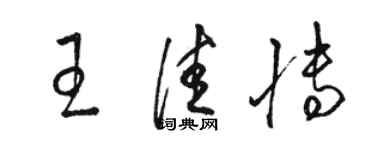 駱恆光王佳博草書個性簽名怎么寫