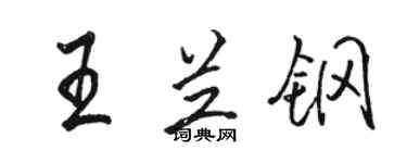 駱恆光王蘭鋼行書個性簽名怎么寫