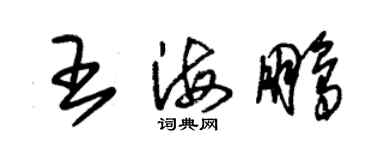 朱錫榮王海鵬草書個性簽名怎么寫