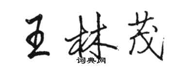 駱恆光王林茂行書個性簽名怎么寫