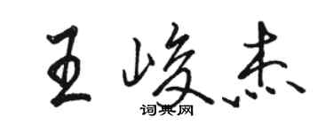 駱恆光王峻傑行書個性簽名怎么寫