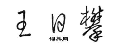 駱恆光王日攀草書個性簽名怎么寫