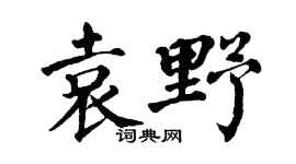 翁闓運袁野楷書個性簽名怎么寫