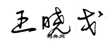 曾慶福王曉戈草書個性簽名怎么寫