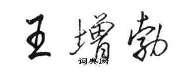 駱恆光王增勃行書個性簽名怎么寫