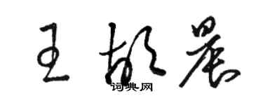 駱恆光王胡晨草書個性簽名怎么寫