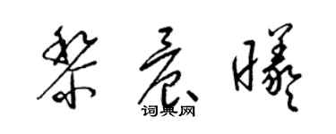 梁錦英黎晨曦草書個性簽名怎么寫