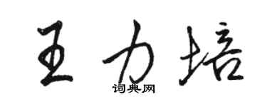 駱恆光王力培行書個性簽名怎么寫